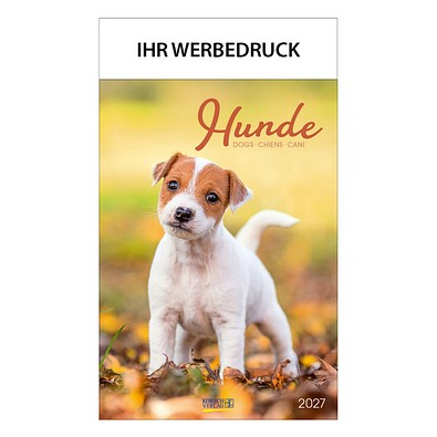 Bild-Wandkalender Hunde 2026