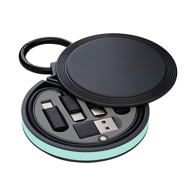 6-in-1 Ladekabel REEVES-myCONVERTICS, schwarz/mint