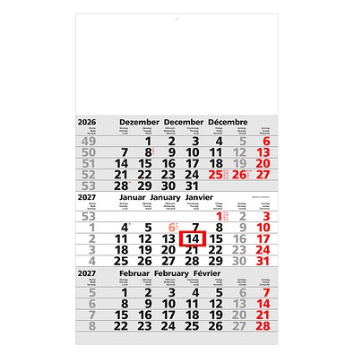 Werbe-Set: 150 Wandkalender 2026, inkl. Druck, hellgrau