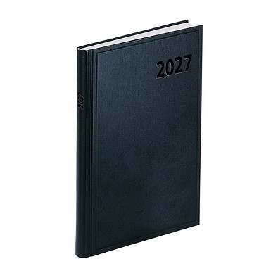 Werbe-Set: 50 Teile, Buchkalender Terminax 2027, inkl. Druck