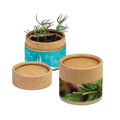 Pflanz-Cup inkl. Samen - Weihnachten - Fichte, inkl. Druck, individuell
