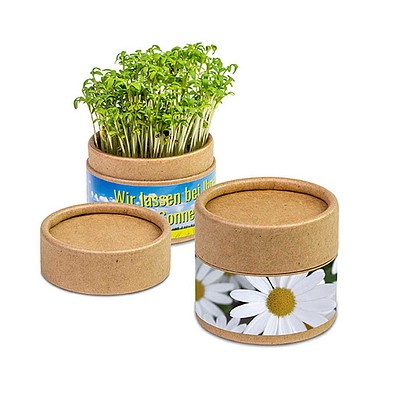 Pflanz-Cup inkl. Samen - Margerite, inkl. Druck, individuell
