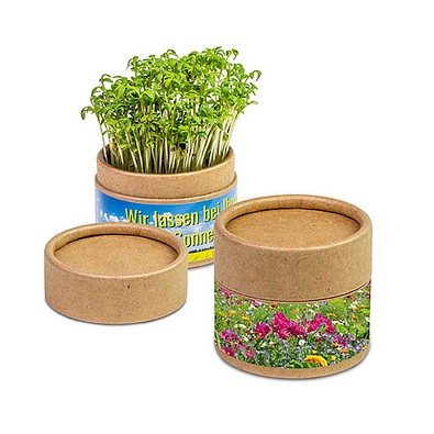 Pflanz-Cup inkl. Samen - Ostern - Sommerblumenmischung, inkl. Druck, individuell