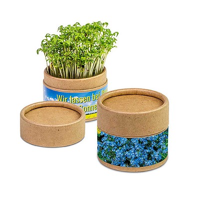 Pflanz-Cup inkl. Samen - Vergissmeinnicht, inkl. Druck, individuell
