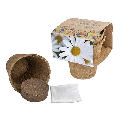 Anzucht-Set mit Samen, Margerite, 1-seit. Druck