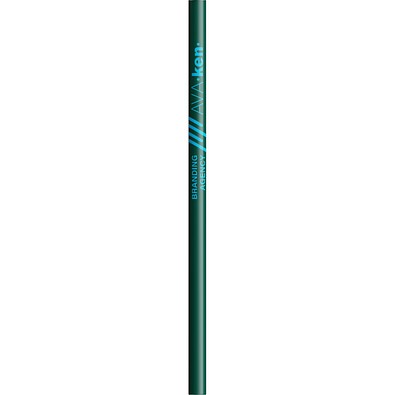 BIC® Evolution® Ecolutions® Cut Bleistift Dunkelgrün Ungeschärft