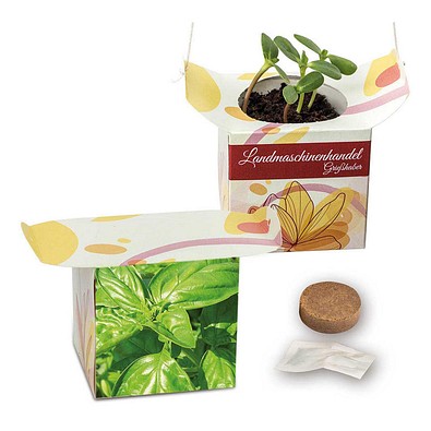 Blumenampel, Basilikum, 1-seit. Druck