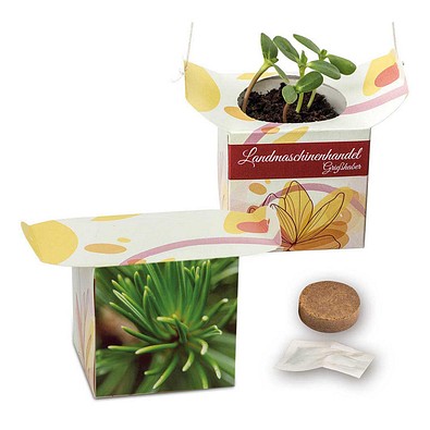 Blumenampel, Fichte, 1-seit. Druck