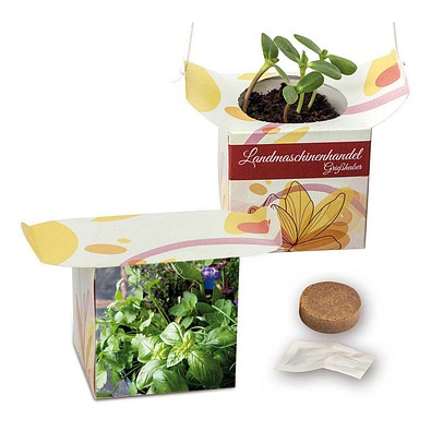 Blumenampel, Kräutermischung, 1-seit. Druck
