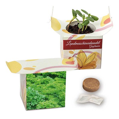 Blumenampel, Petersilie, 1-seit. Druck