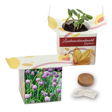 Blumenampel, Schnittlauch, 1-seit. Druck