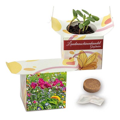 Blumenampel, Sommerblumenmischung, 1-seit. Druck