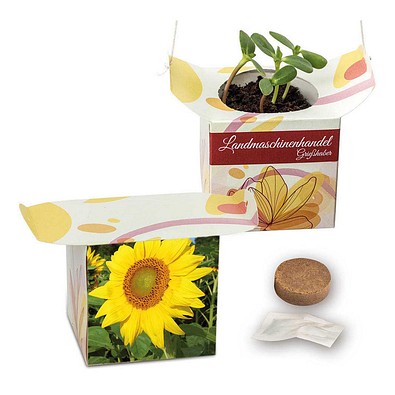 Blumenampel, Sonnenblume, 1-seit. Druck