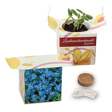 Blumenampel, Vergissmeinnicht, 1-seit. Druck
