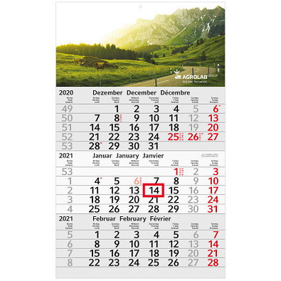 geiger notes 3-Monats-Wandkalender Recycling 2021 geiger notes 3-Monats-Wandkalender Recycling 2021