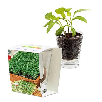 Caffeino-Glas mit Samen, Gartenkresse, 1-seit. Druck