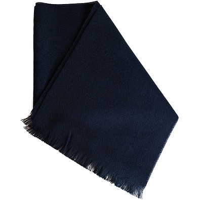 Citizen Green Hibernal 27 x 200 cm Schal, navy