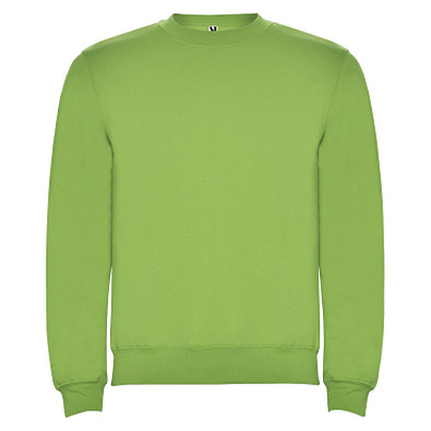 Clasica Sweatshirt mit Rundhalsausschnitt für Kinder, Oasis Green, 5/6