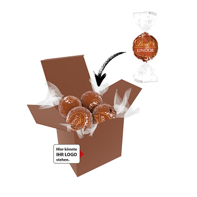 Color Lindor Box - Braun - Haselnuss
