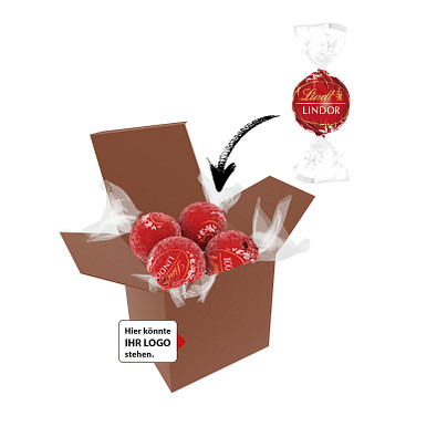 Color Lindor Box - Braun - Vollmilch