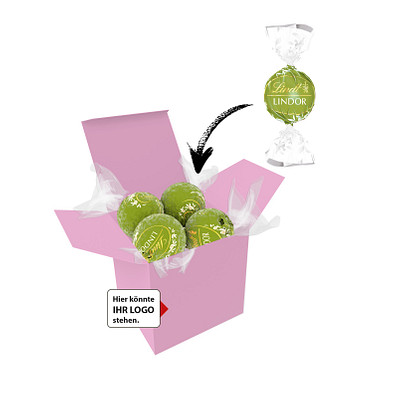 Color Lindor Box - Rosa - Pistazie