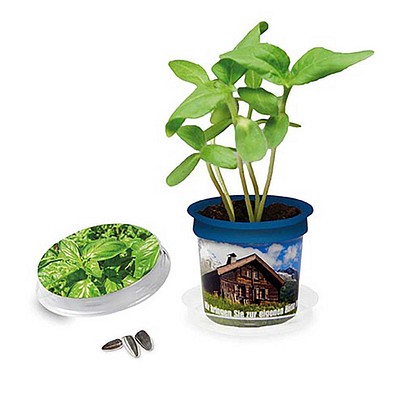 Florero-Töpfchen mit Samen, blau, Basilikum, 1-seit. Druck