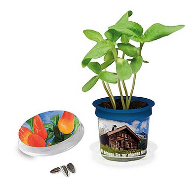 Florero-Töpfchen mit Samen, blau, Gewürzpaprika, 1-seit. Druck