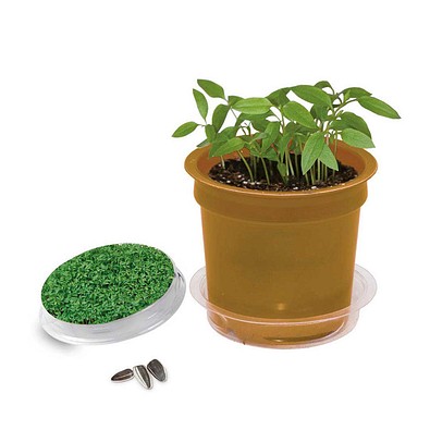 Florero-Töpfchen mit Samen, gold, Gartenkresse, 1-seit. Druck