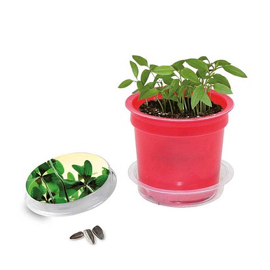 Florero-Töpfchen mit Samen, rot, Glücksklee