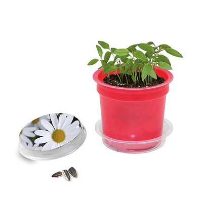 Florero-Töpfchen mit Samen, rot, Margerite, 1-seit. Druck