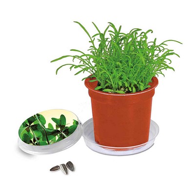 Florero-Töpfchen mit Samen, terracotta, Glücksklee