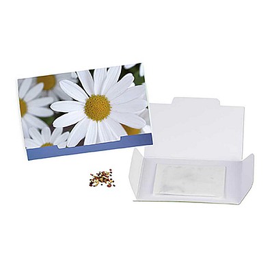 Flower-Card mit Samen, Margerite, 1-seit. Druck