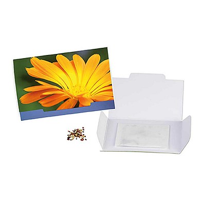 Flower-Card mit Samen, Ringelblume, 1-seit. Druck