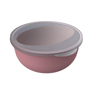 Food-Bowl ToGo, Classic, 1,0 l, raffiniertes rot/transparent-milchig