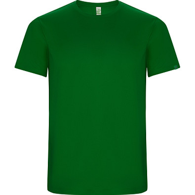 Funktions T-Shirt Imola Herren, farngrün, L Funktions T-Shirt Imola Herren, farngrün, L