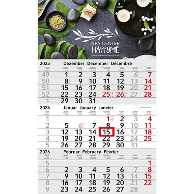 Geiger-Notes Monatskalender Budget 3 Bestseller, inkl. Druck, hellgrau