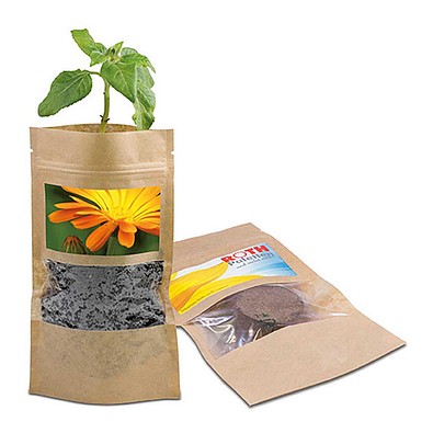 Grünes aus der Tüte mit Samen, Ringelblume, 1-seit. Druck