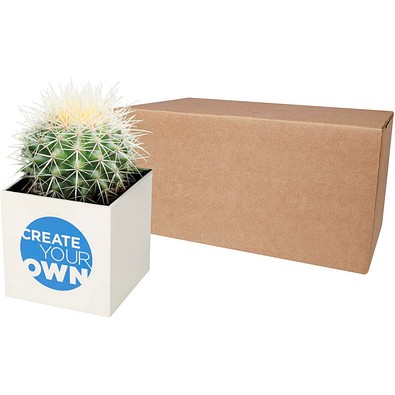 Hey Pots Blumentopf aus Aluminium, Kaktus, weiss