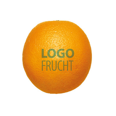 LogoFrucht Orange - Kiwi