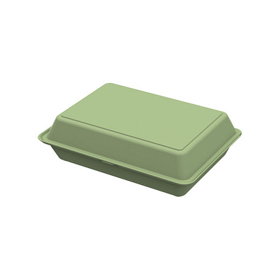 Menübox ToGo XL, ohne Trennstege, geselliges grün