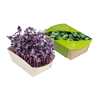 Microgreens-Gärtchen, Radies Sango, 1-seit. Druck