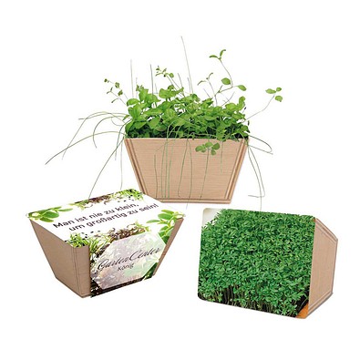 Mini-Beet mit Samen, Gartenkresse, 1-seit. Druck