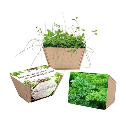 Mini-Beet mit Samen, Petersilie, 1-seit. Druck