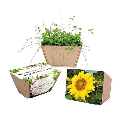 Mini-Beet mit Samen, Sonnenblume, 1-seit. Druck