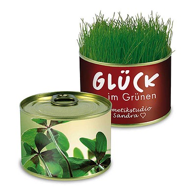 Natur-Konserve mit Samen, Glücksklee