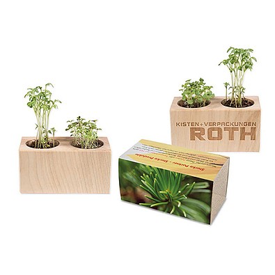 Pflanz-Holz 2er Set mit Samen, Fichte, 1-seit. Druck