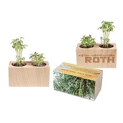 Pflanz-Holz 2er Set mit Samen, Thymian, 1-seit. Druck
