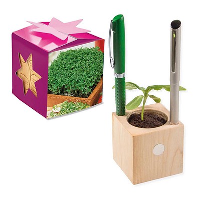 Pflanz-Holz Büro Star-Box mit Samen, Gartenkresse, 1-seit. Druck