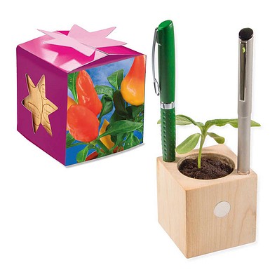 Pflanz-Holz Büro Star-Box mit Samen, Gewürzpaprika, 1-seit. Druck