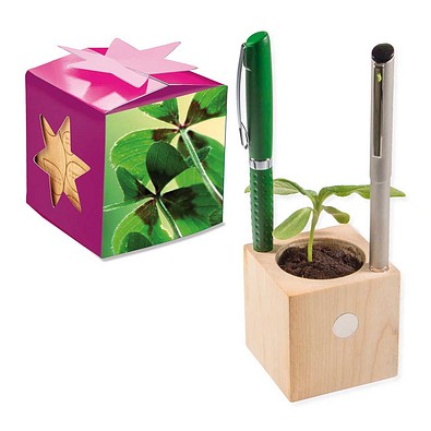Pflanz-Holz Büro Star-Box mit Samen, Glücksklee